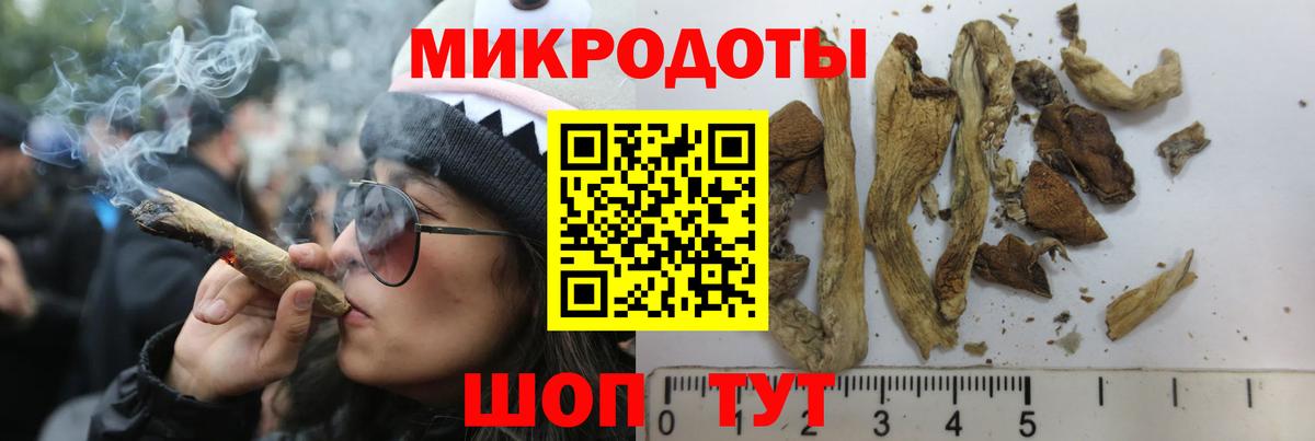 Новоалтайск  Галлюциногенные грибы Psilocybe  купить  сайты  Псилоцибиновые грибы мухоморы  Вход с VPN 